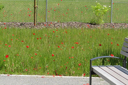 Das Haus Eichholzg&auml;rten 
                bietet seinen Bewohnern u.a. einen gesch&uuml;tzten 
                Demenzgarten.
